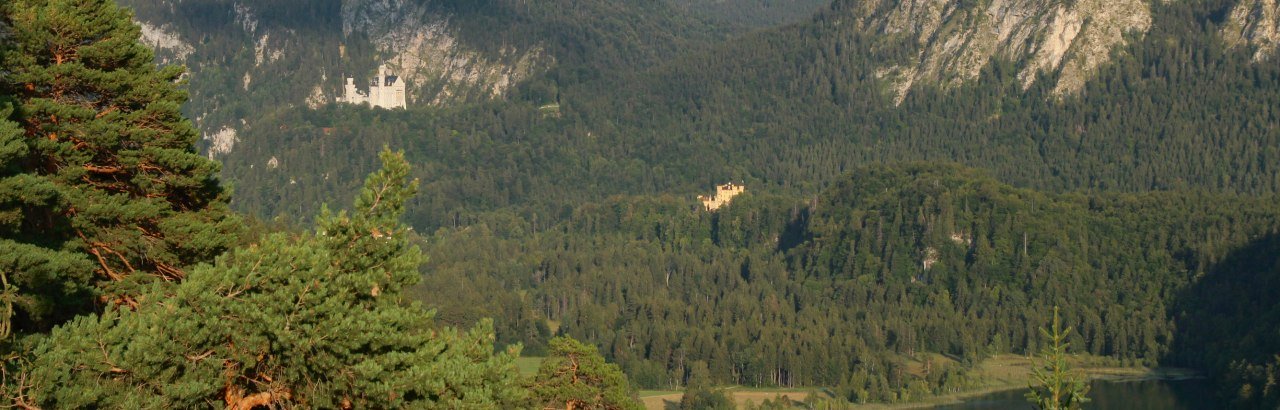 Blick auf den Schwansee und die Königsschlösser Neuschwanstein und Hohenschwangau © Füssen Tourismus und Marketing,  Gerhard Eisenschink