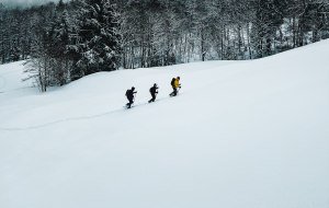 Gruppe bei einer Schneeschuhwanderung in Oberstdorf @ Allgäu GmbH, Susanne Baade