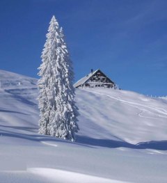 Alpe Mittelberg im Winter © Alpe Mittelberg