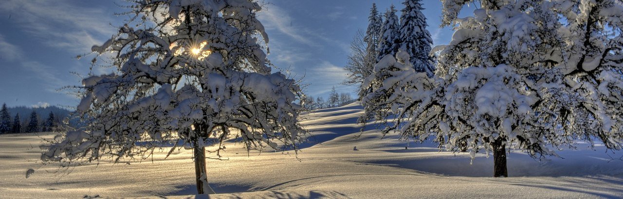 Panorama-Winterwanderweg © Andrea Presser